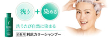 Load image into Gallery viewer, RISHIRI Hair Colour Shampoo