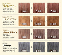 Load image into Gallery viewer, RISHIRI Hair Colour Shampoo