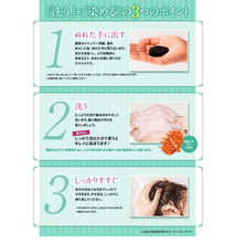Load image into Gallery viewer, RISHIRI Hair Colour Shampoo