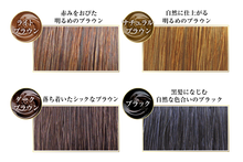 Load image into Gallery viewer, RISHIRI Hair Colour Shampoo