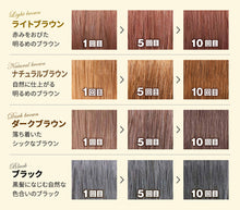 Load image into Gallery viewer, RISHIRI Hair Colour Shampoo
