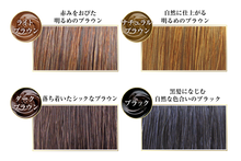 Load image into Gallery viewer, RISHIRI Hair Colour Shampoo
